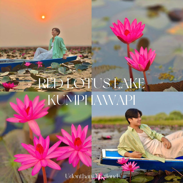 ทะเลบัวแดง กุมภวาปี ใน Unseen Thailand 🫶🏻🪷