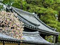Fushimi Inari Shrine: Kyoto’s Iconic Path of a Thousand Torii