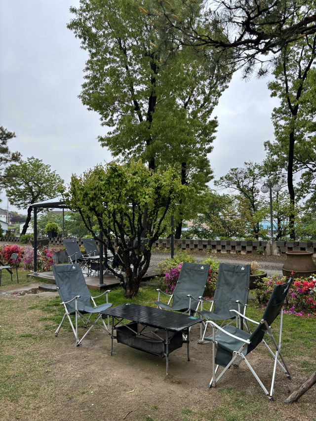 반려동물과 뛰어놀 수 있는 일산 카페🤩