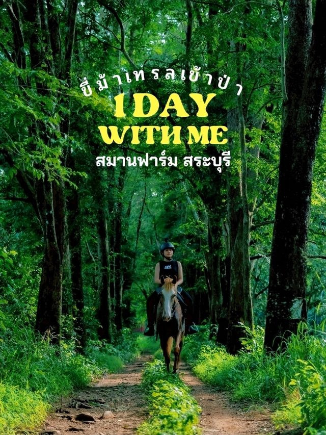 ขี่ม้าเทรลเข้าป่า ฝ่าฝน ชมธรรมชาติ 