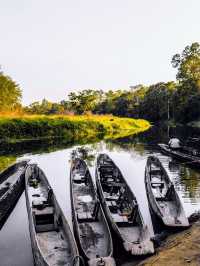 Premium accommodation in Chitwan area