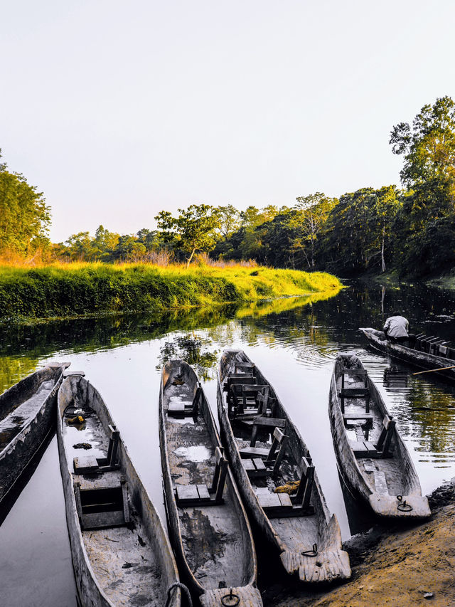 Premium accommodation in Chitwan area