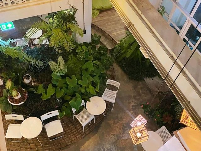 memmoth cafe & hostel