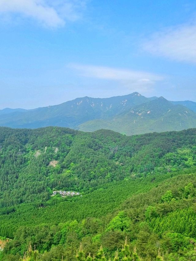 바다가 한눈에 보이는 각산 등산⛰️