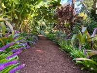 Royal Botanic Garden Sydney – Scenic, Spacious, and Free!