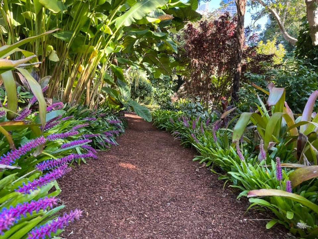 Royal Botanic Garden Sydney – Scenic, Spacious, and Free!