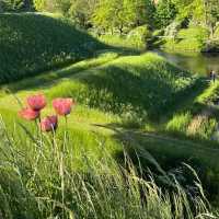 Kastellet: A Scenic Stroll Through Copenhagen’s Historic Fortress 