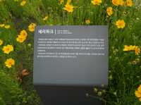 공주에서 만난 골프 여제의 흔적⛳ 세리파크 후기