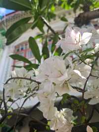 Joo Chiat’s Hidden Gem: The Peranakan Mansion