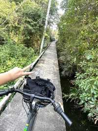 バンコク旅と合わせて🇹🇭中心部から約30分で行ける人工島「バーンガジャオ」でサイクリング