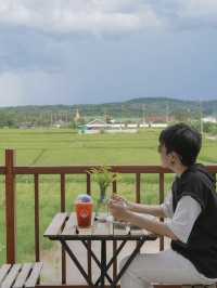 ร้านกาแฟกลางทุ่งนา ดาราดาว เชียงใหม่