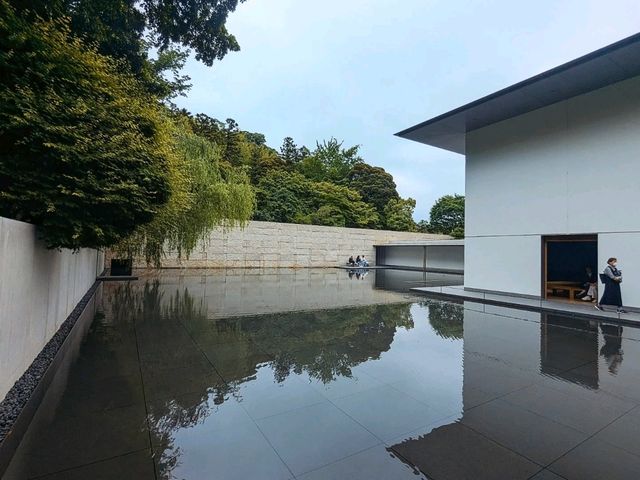 金澤 | 鈴木大拙館，位於市區內的深沉寂靜。
