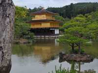 京都 北山鹿苑寺(金閣寺)