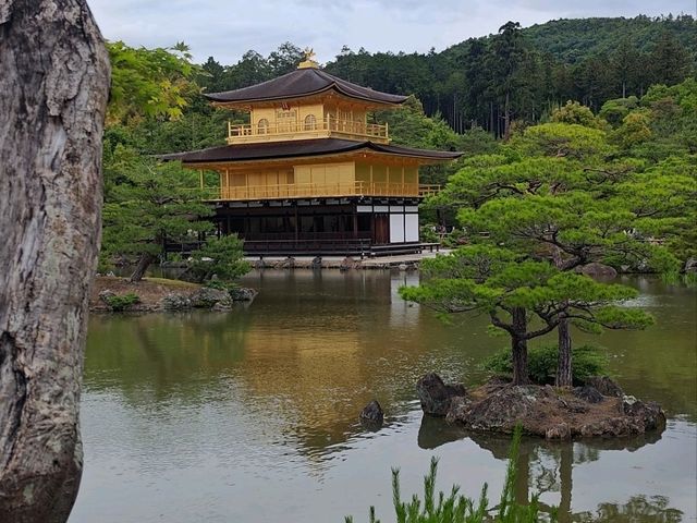 京都 北山鹿苑寺(金閣寺)