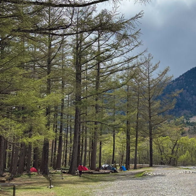 1 วัน เที่ยว #คามิโคจิ 🏔️🌲🇯🇵