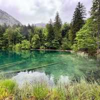 探訪阿爾卑斯山間的秘境～藍湖Blausee