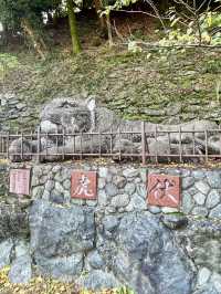 A Day Around Wakayama Castle 🏯📚