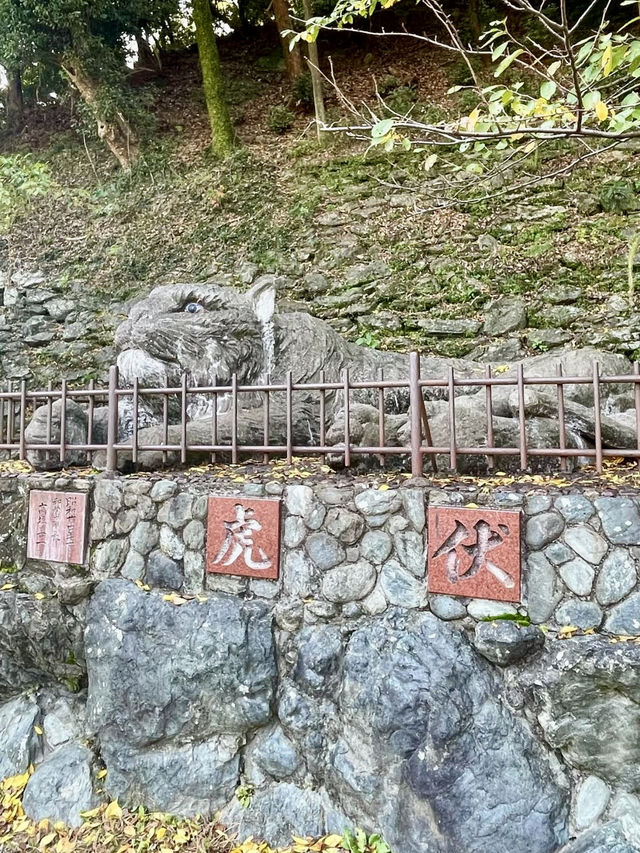 A Day Around Wakayama Castle 🏯📚