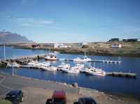Where Art Meets Nature: The Eggs of Djúpivogur