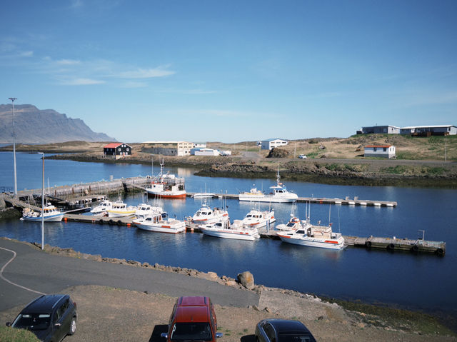 Where Art Meets Nature: The Eggs of Djúpivogur