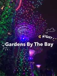 Light And Sound Show ที่ Gardens By The Bay