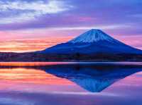 🗻 富士山のふもとで癒されよう！自然と美味しさに出会う山梨県