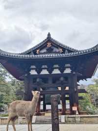國家風景名勝區，奈良公園