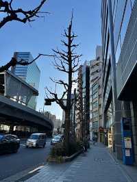 โอซาก้า🇯🇵