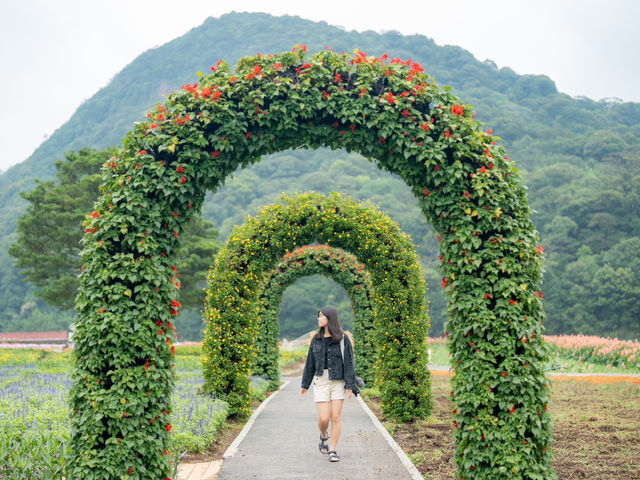 廣州石門森林公園，自駕遊必去！🌳🚗