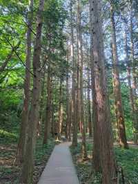 Hiking, Temples, and Vibes I Didn’t Expect