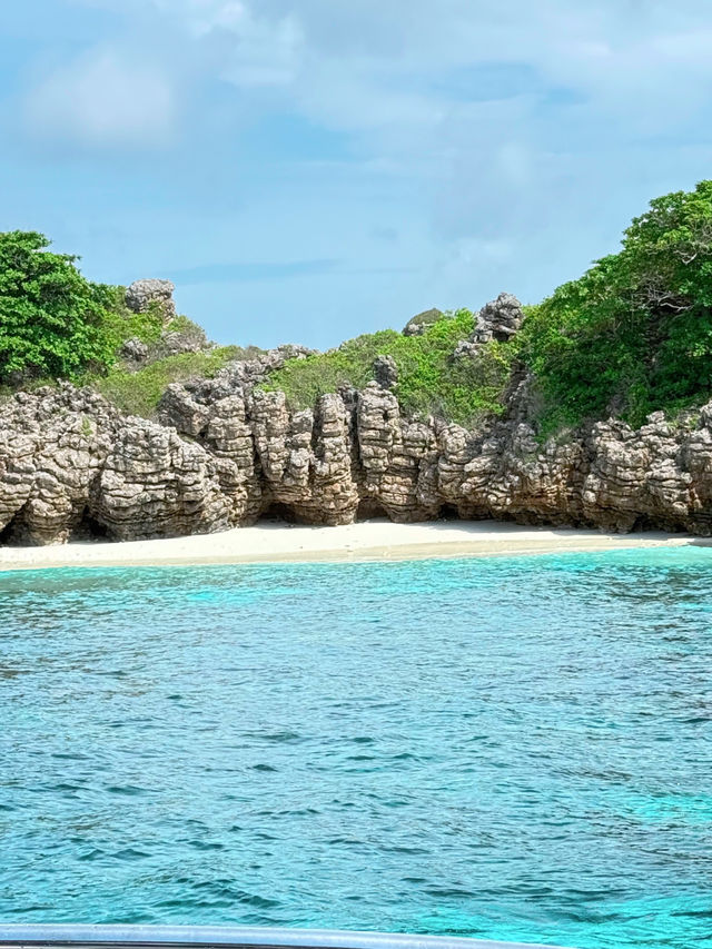 🏊🏻ดำน้ำเกาะห้า และเกาะรอก จังหวัดกระบี่🏖️