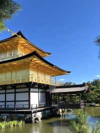 大阪金閣寺 💕 燃燒在文字與現實間的幻美