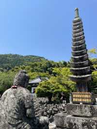 極樂淨土，回歸寧靜