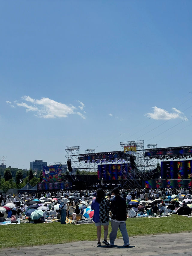 🎶 그 여름, 피크락 페스티벌에서 우리는 불타올랐다