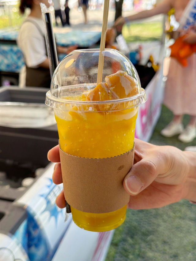 🎶 그 여름, 피크락 페스티벌에서 우리는 불타올랐다