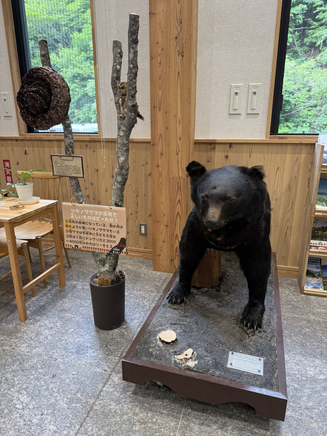  🏔️谷川岳インフォメーションセンターで自然と学びの時間を