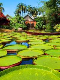 A mind blowing getaway in the island of Phuket