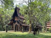My budget trip to Chiang Rai👫😎👌