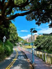 🚴‍♀️ 桃林鐵馬道：藏身虎頭山旁的森林單車路，一場綠意與時光的輕旅行