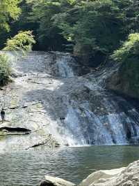 💧幻想的な光と自然が織りなす奇跡「濃溝の滝」で心洗われる旅