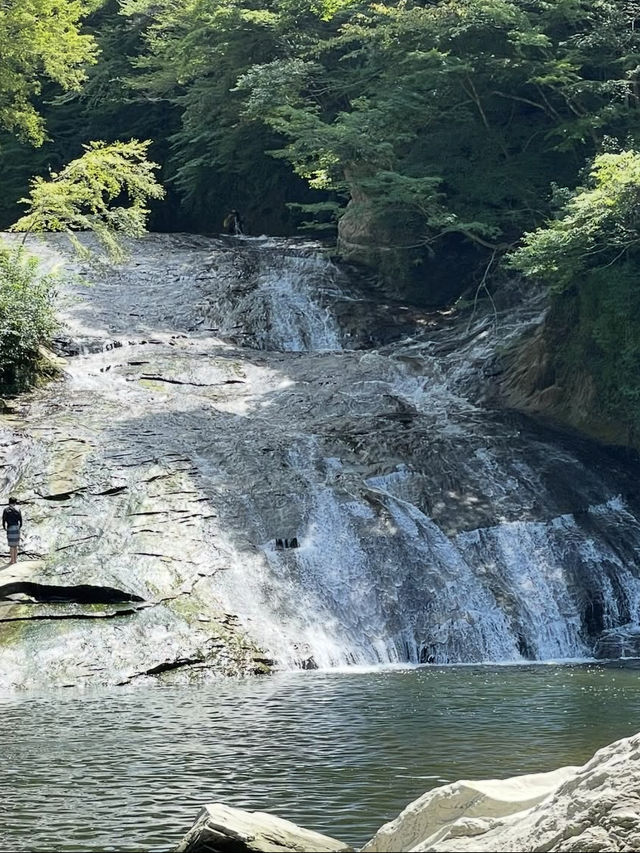 💧幻想的な光と自然が織りなす奇跡「濃溝の滝」で心洗われる旅