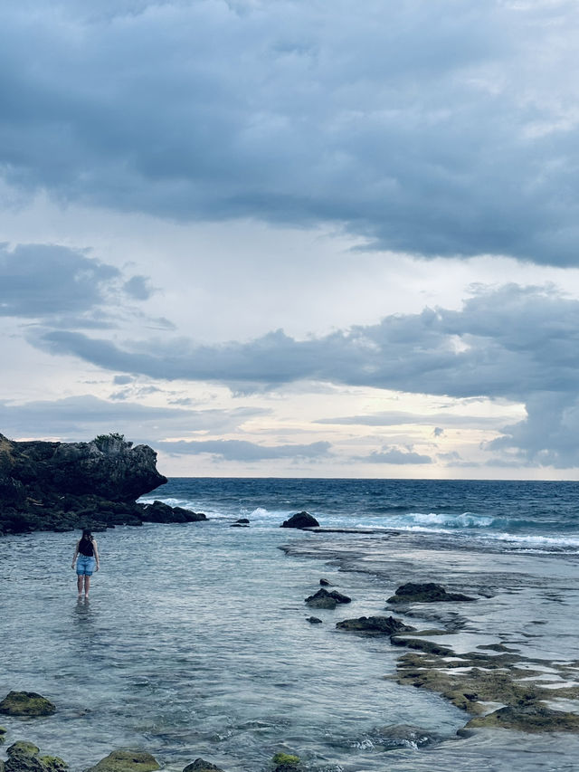 🏖️ 美人沙灘奇遇記：與海龜共舞的秘境之旅