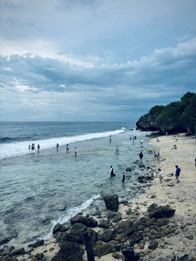 🏖️ 美人沙灘奇遇記：與海龜共舞的秘境之旅