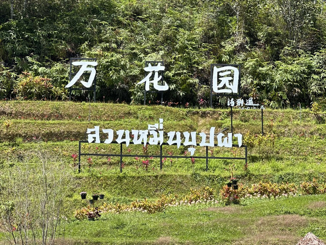 • สวนหมื่นบุปผา (หรือ สวนไม้ดอกเมืองหนาวเบตง)🌷🌻