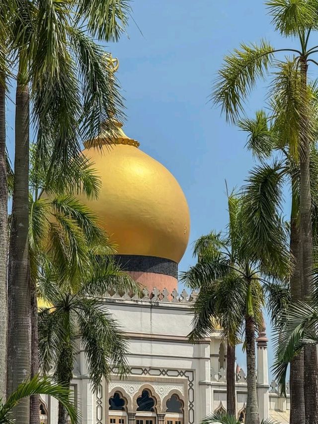 🇸🇬✨ Explore Singapore – Top Attractions You Can’t Miss! 🌆🌸