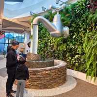 Mind-Boggling Fun at Puzzling World!