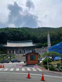 아이에게도 특별한 경험, 삼광사 탐방👧