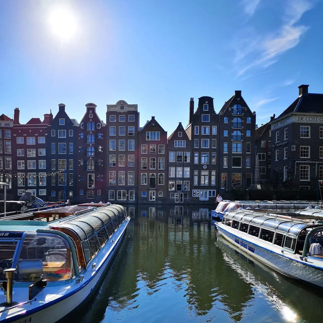 🚴‍♂️🌷 Summer Cycling Around Museumplein: Art, Parks & Amsterdam’s Iconic Squares