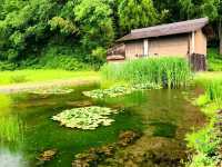 Enchanting scenery just like fairy tale comes to life