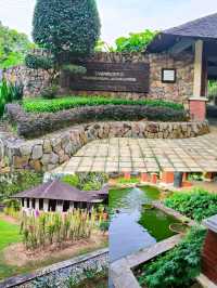 JB's Botanical Gem: Find Serenity & Rare Orchids at This Hidden Urban Garden